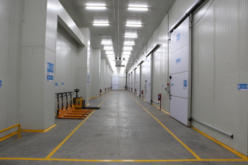 Commercial Cold Storage Door Type: Swing Openable Door