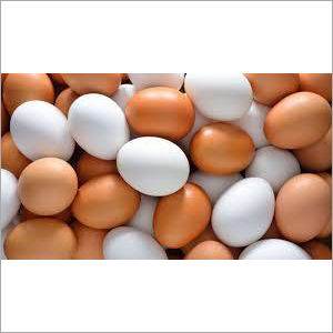 Brown Eggs