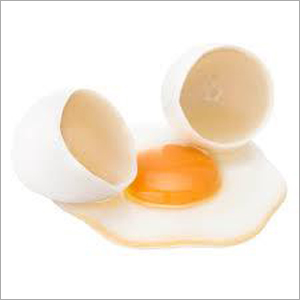 Broiler Chicken Egg