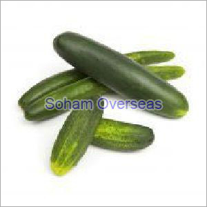 Fresh Cucumber