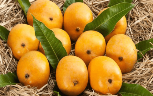 Organic Fresh Mango