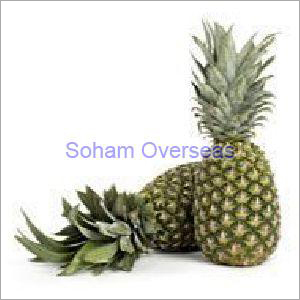 Fresh Pineapple