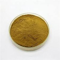 Bacopa Monnieri Extract