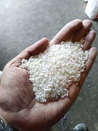 Swarna Raw Rice - Medium Grain, White Color | Common Cultivation, Dried, Moisture 8.5%-9%, 6 Months Shelf Life