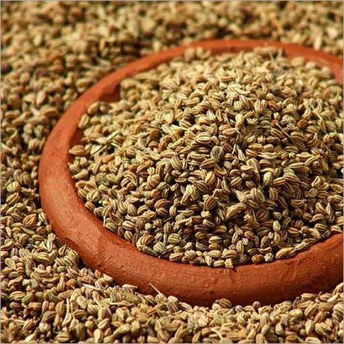 Ajwain Oil