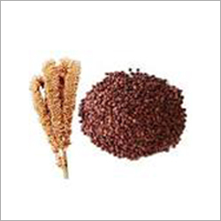 Finger Millet