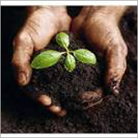 Organic Manure