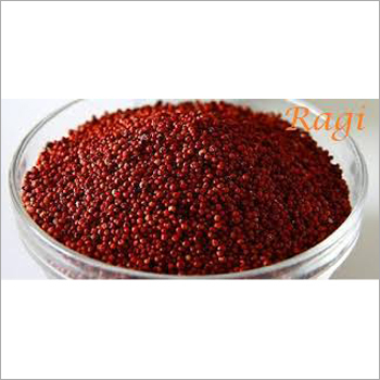 Red Ragi Seeds