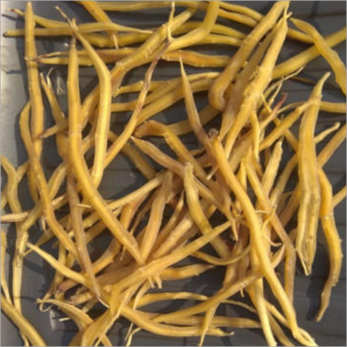 Dried Shatavari Roots