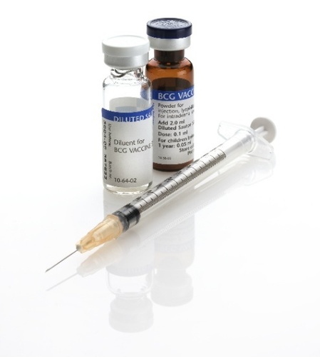 Bcg Vaccine