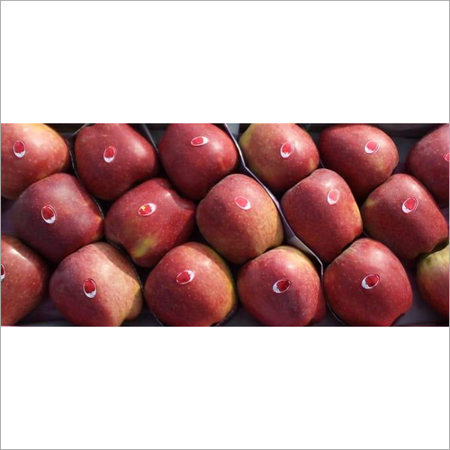 A Grade Fresh Apple - Kashmiri Variety | Soft, Sweet Pulp, Nutrient-Rich Antioxidants