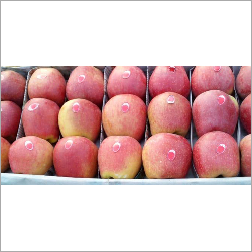 Kashmiri Red Apple