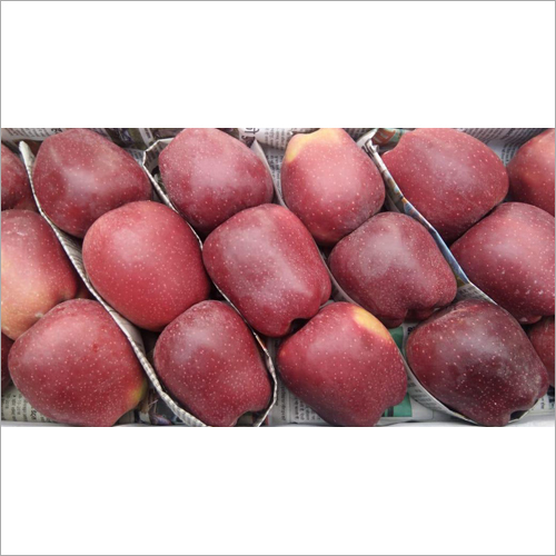 Kashmiri Red Java Apple