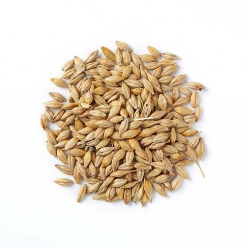 Barley (Jou) Purity: Full