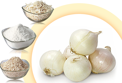 onion flakes