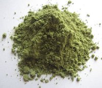 Senna Powder (cassia Obovata) Dry Place