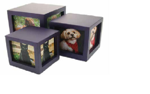 Pet Photo Frame Cremation Urn