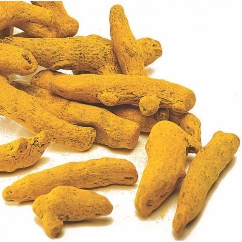 Double Polished Nizamabad Turmeric Finger