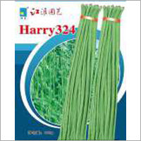 Op Beans-harry-324 (Imported)