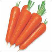 Op Carrot- Kuroda