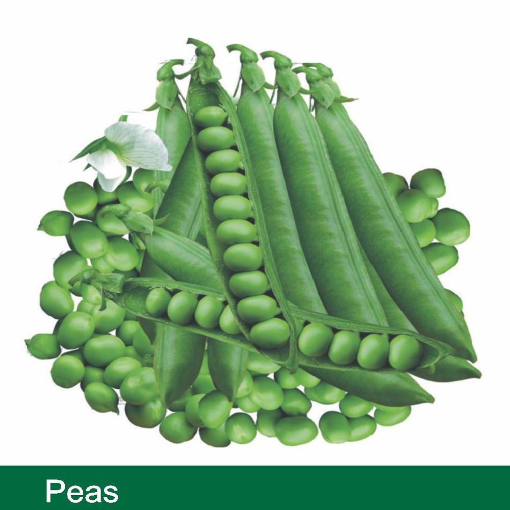 PEAS SEEDS