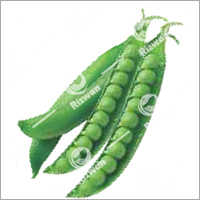 Op Peas Lucky-70 (Imported)