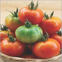 Tomato F1 -Annapurna Plus Grade: Food