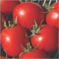 Tomato F1-Dona-55 - Grade: Food
