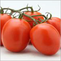 Tomato F1 -Winner