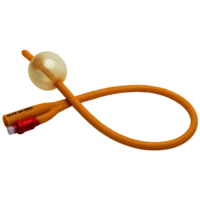Foley Catheter