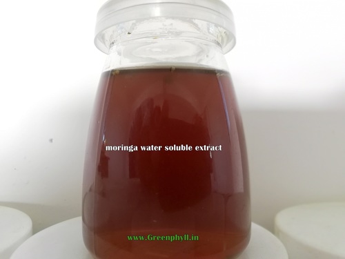 Water Soluble Moringa Extract