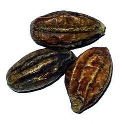 Black Himej Black Myrobalan