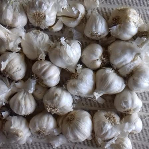 Dehydrated Garlic Cloves By GULABI SALES