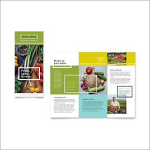 Flyers Design Service