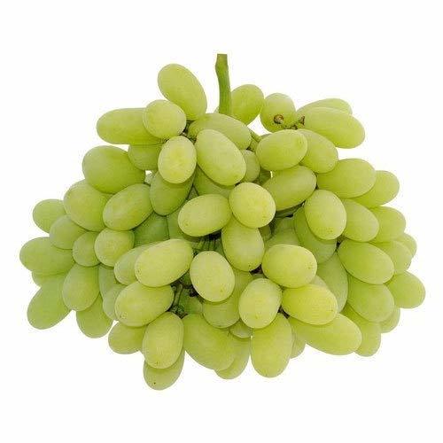 Super Sonaka Grapes