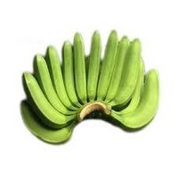 Cavendish Banana