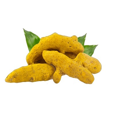 High Quality Dried Turmeric