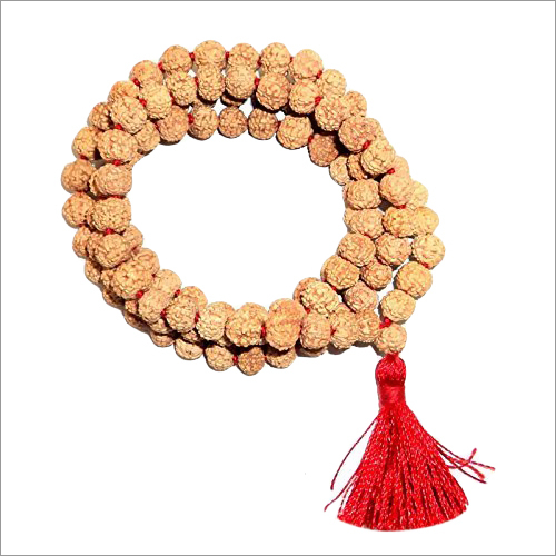 5 Mukhi Rudraksha