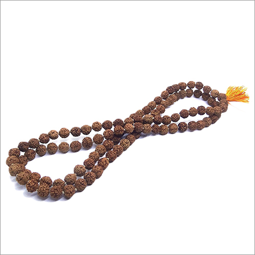 6 Mukhi Rudraksha