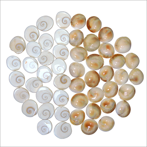 Natural Gomati Chakra