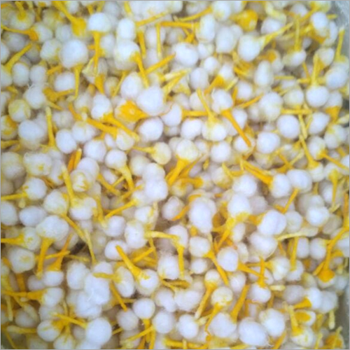 Cotton Wicks - 100% Organic Cotton, 14 Grams, White | Eco-Friendly, Soft Pattern, Normal Cultivation Type