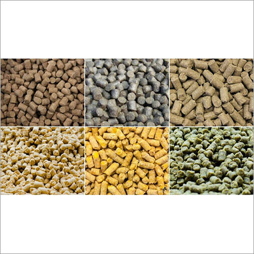 Chokar Cattle Feeds