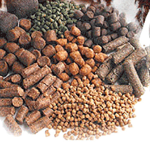 Cattle Feed Supplements