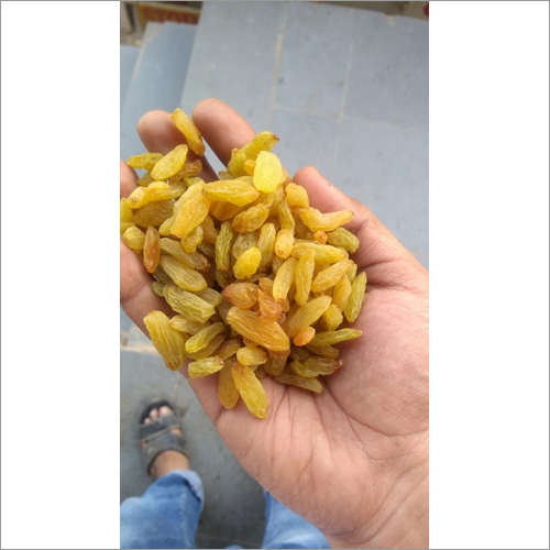 Pure Yellow Raisin