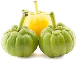 Garcinia Combogia Extract