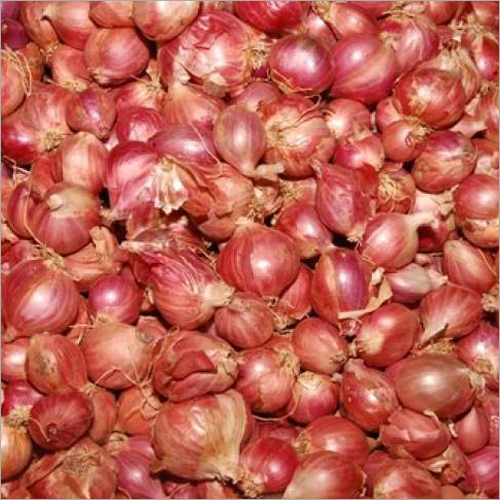 Fresh Onion