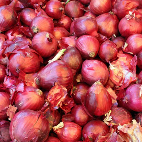 Organic Red Onion