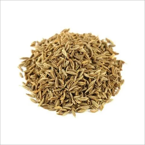 Organic Cumin Seed