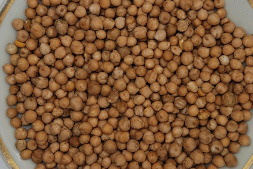 Chick Peas By Private Production and Trading Enterprise JNL