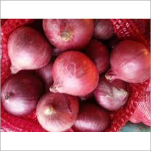 Red Onion